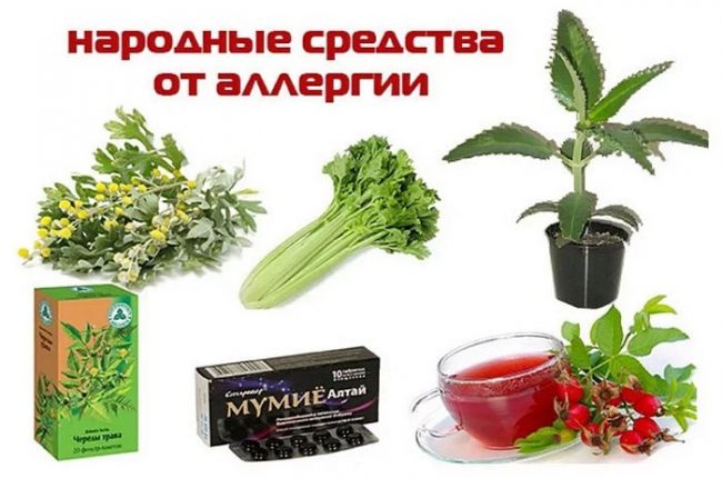 Народные средства от аллергии Причины аллергии
