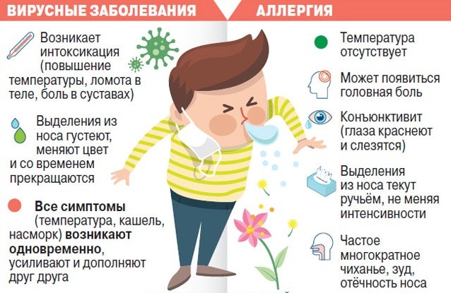 Отличие аллергии от вируса Причины аллергии