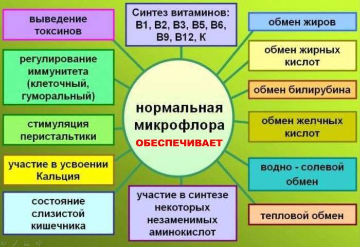 Пробиотики для кишечника