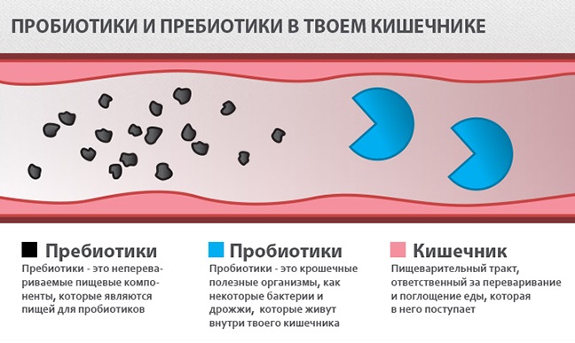 Пробиотики для кишечника