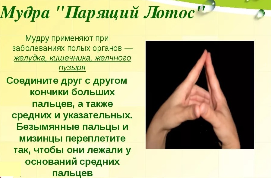 Средства от язвы