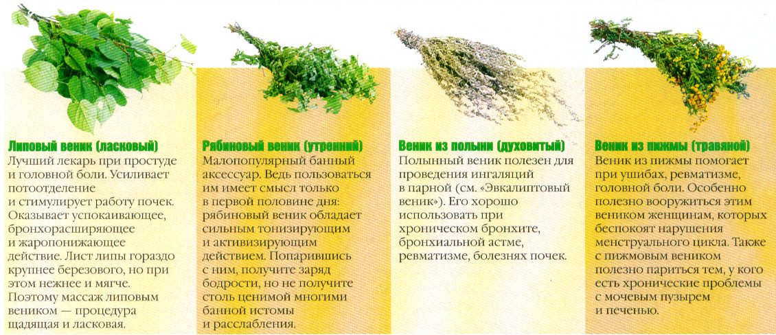 Свойства бани