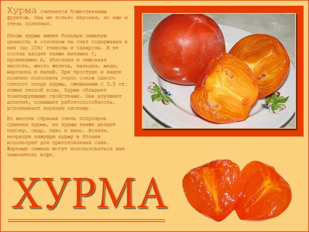 Свойства хурмы