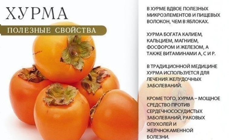 Свойства хурмы