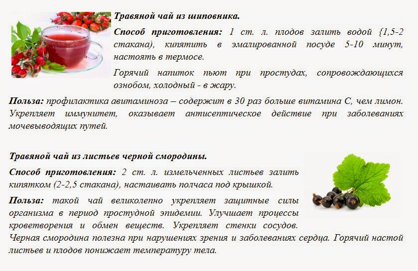 Свойства шиповника