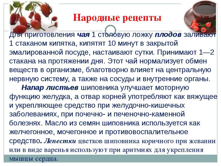Свойства шиповника