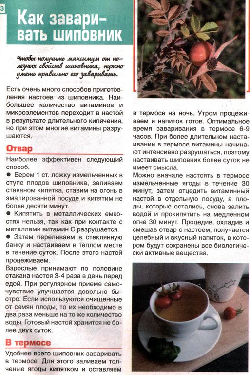 Свойства шиповника