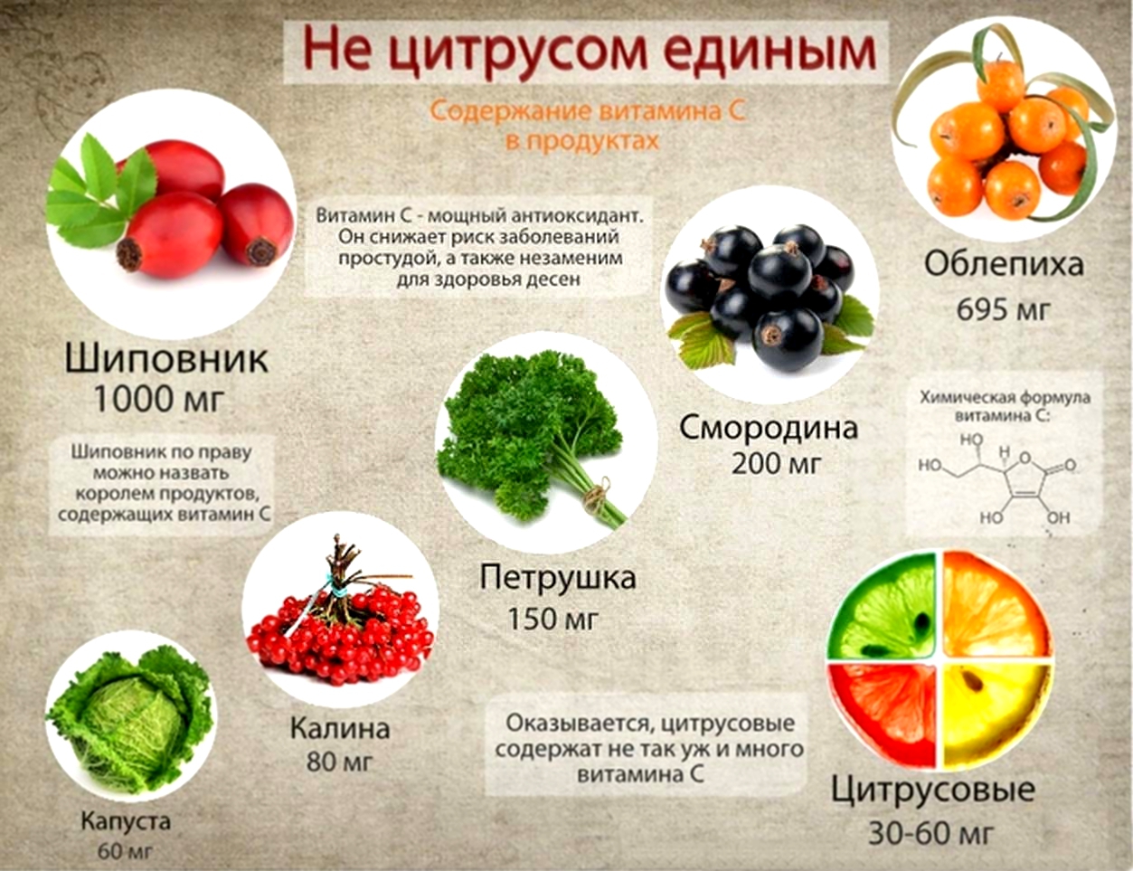 Свойства шиповника