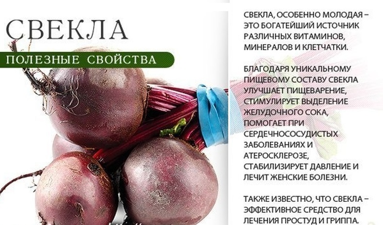 Свойства свеклы