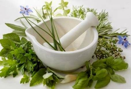 Травы от головной боли
