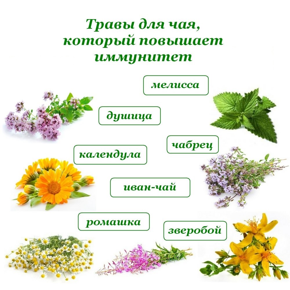 Укрепление иммунитета