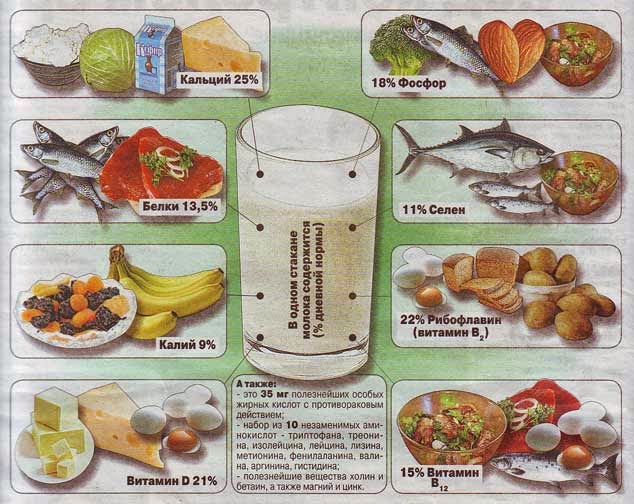 Витамины в молочных продуктах