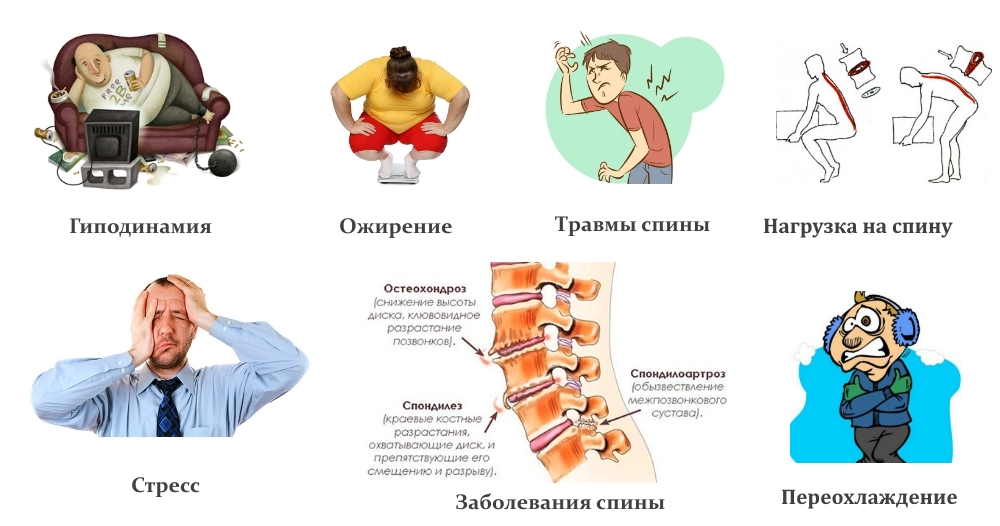Заболевания позвоночника