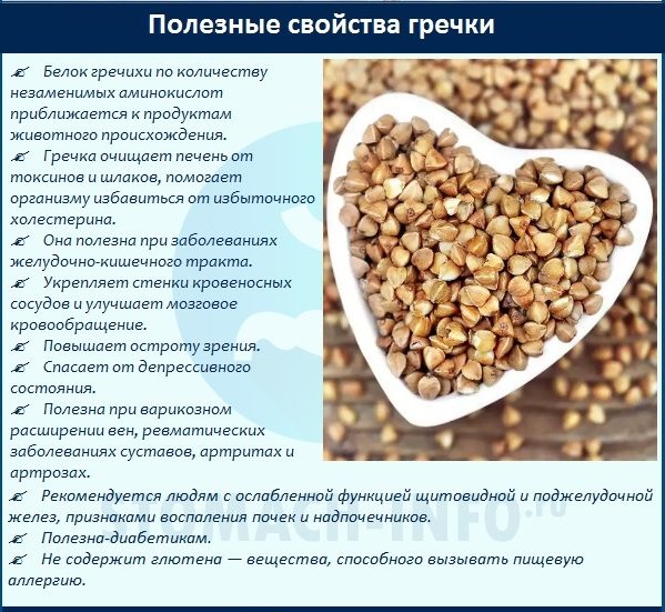 Полезная гречка